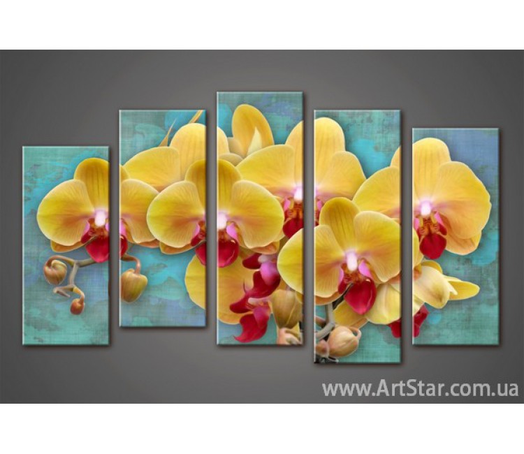 Модульная картина Орхидеи (5) 2