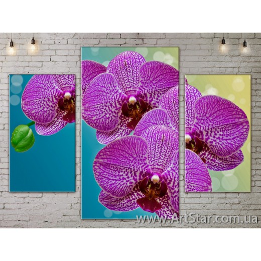 Модульные Картины, Орхидея, Art. FLOW777027