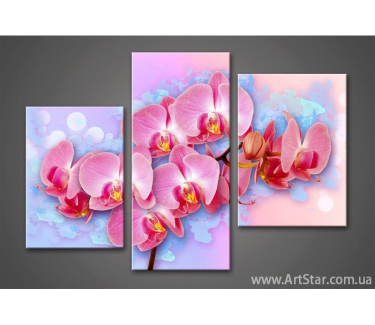 Модульная картина Цветы Орхидеи