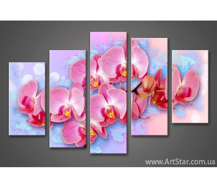 Модульная картина Цветы Орхидеи (5)