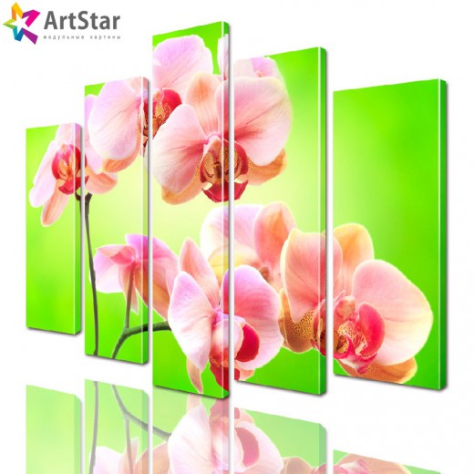 Модульные картины - Ветка розовой орхидеи, Art. flrs_0235